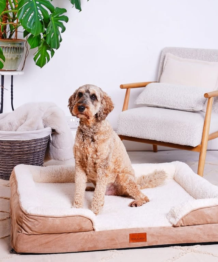 The Belgravia Dog Sofa™ - Large