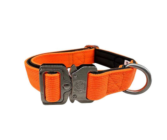 2.5cm Nylon BTactical™ Collar | Citrus Orange