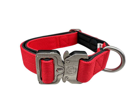 2.5cm Nylon BTactical™ Collar | Citrus Red