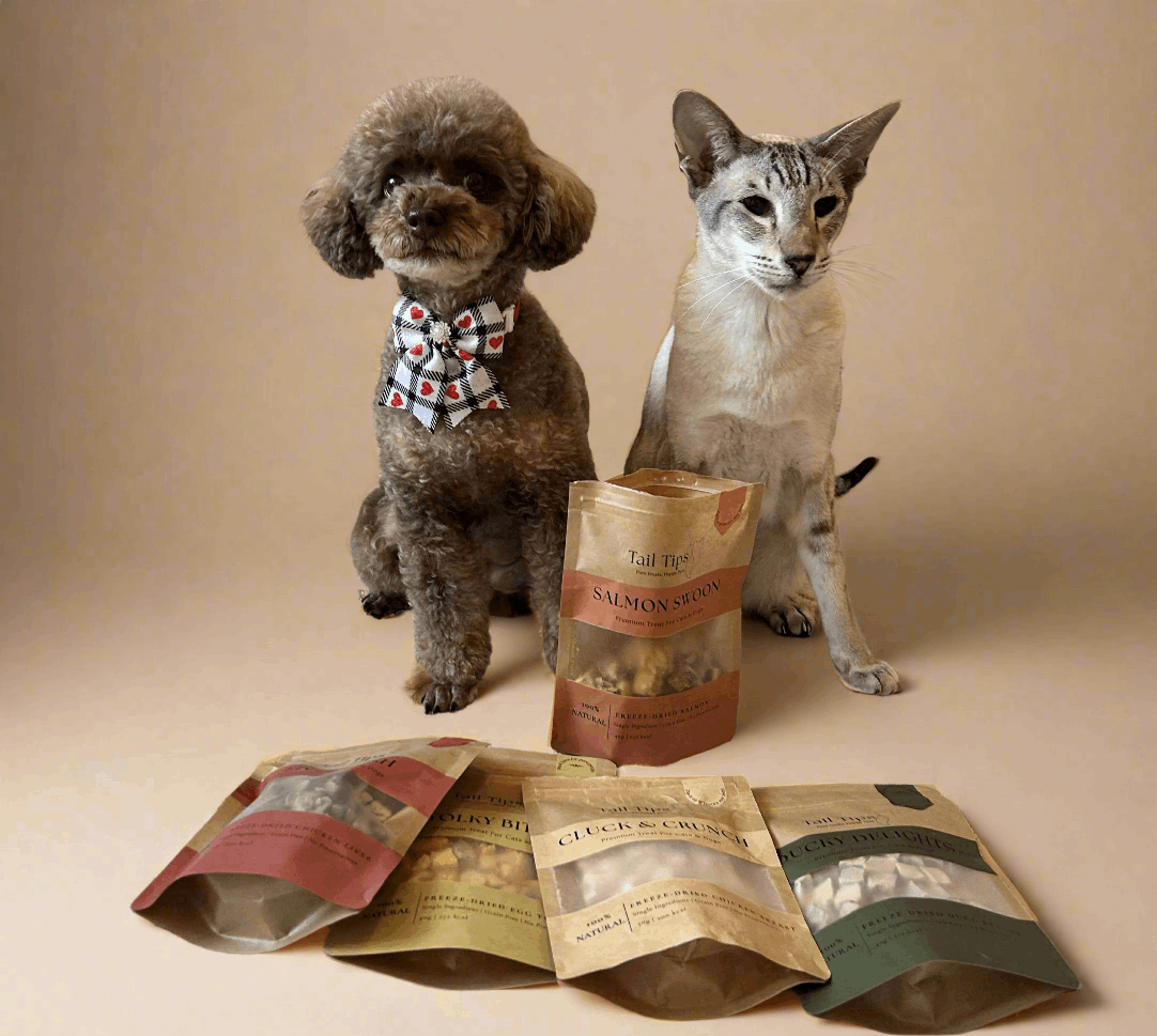 Taster Pack - 5 Freeze-Dried Pet Treats | Try All Flavours | Tail Tips UK