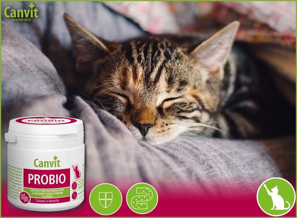 Canvit Probio for Cats: Probiotic Support for Healthy Digestion (100g)