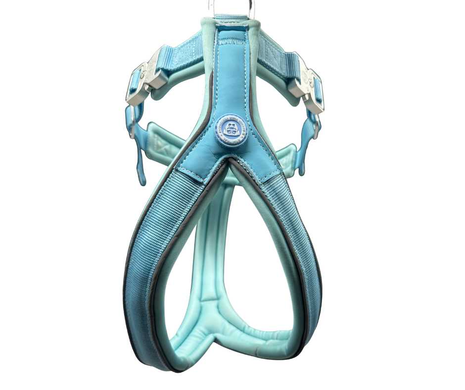 The 2.5cm BTactical™ Slip on Harnesses
