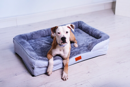 The Belgravia Dog Sofa™ - Large