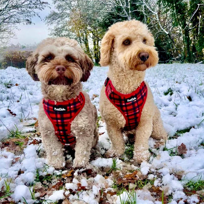 Adjustable Harness - Red Tartan