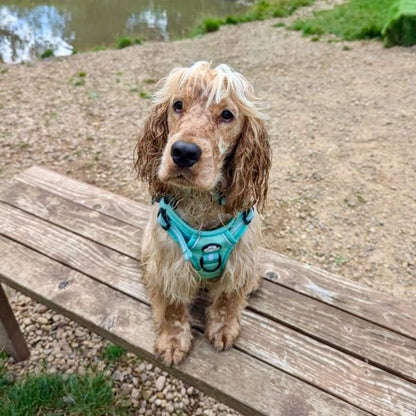Rugged Rover™ Harness - Pastel Mint Green