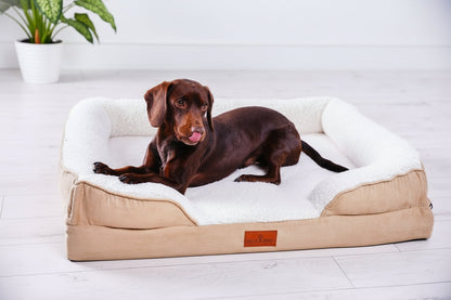 The Belgravia Dog Sofa™ - Medium