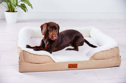 The Belgravia Dog Sofa™ - Medium