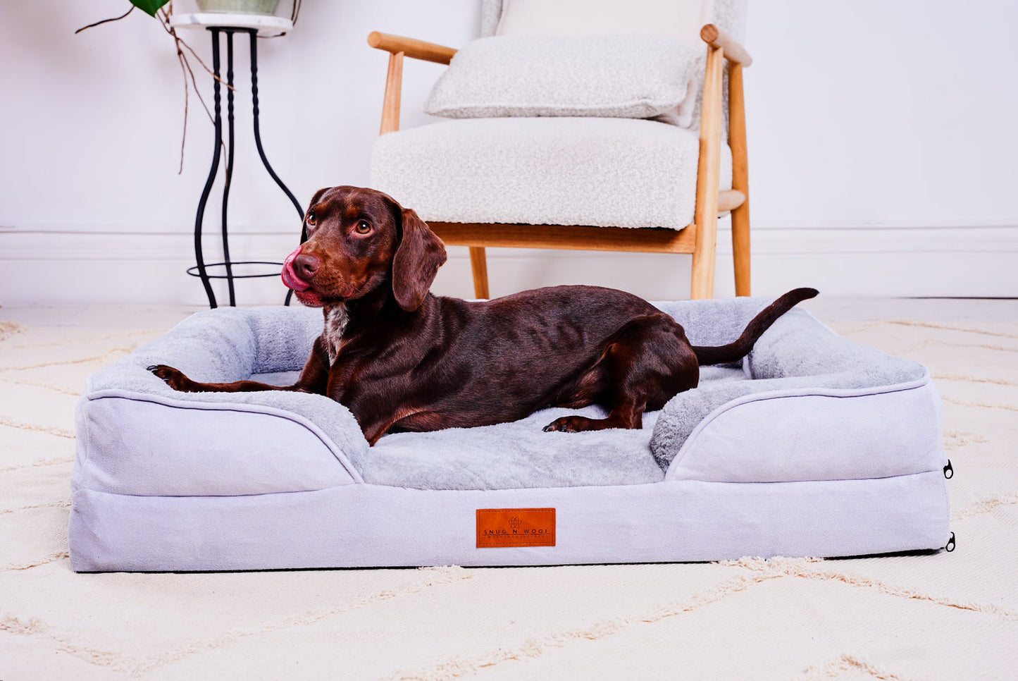 The Belgravia Dog Sofa™ - Medium