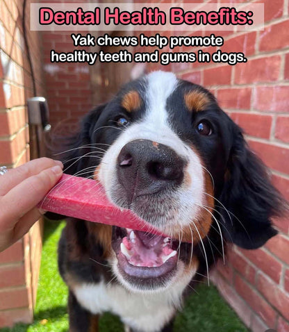 Strawberry Yak Dog Chew