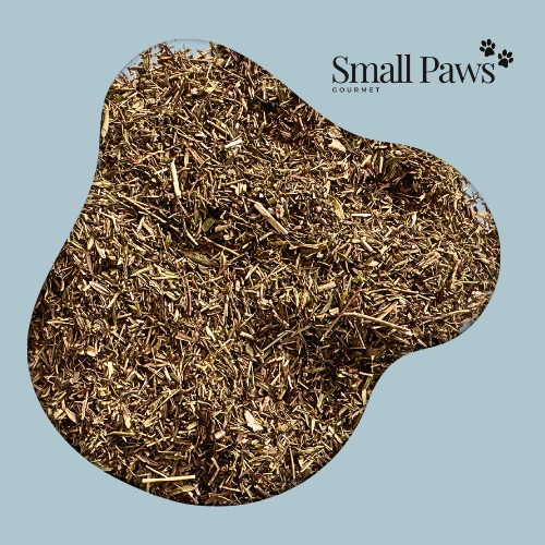 Thyme