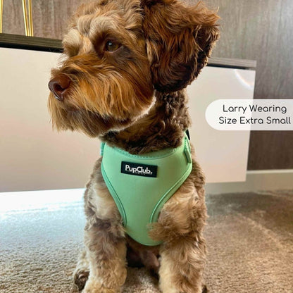 Adjustable Harness - Pastel Mint Green