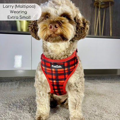 Adjustable Harness - Red Tartan