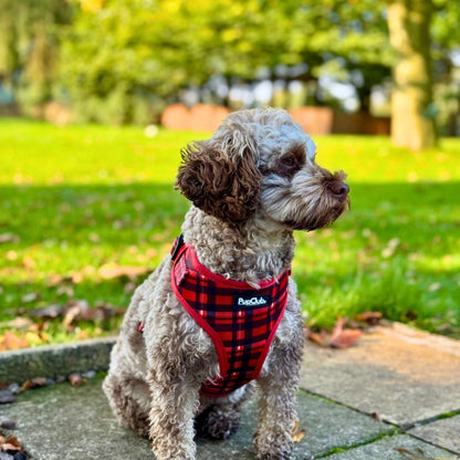 Adjustable Harness - Red Tartan