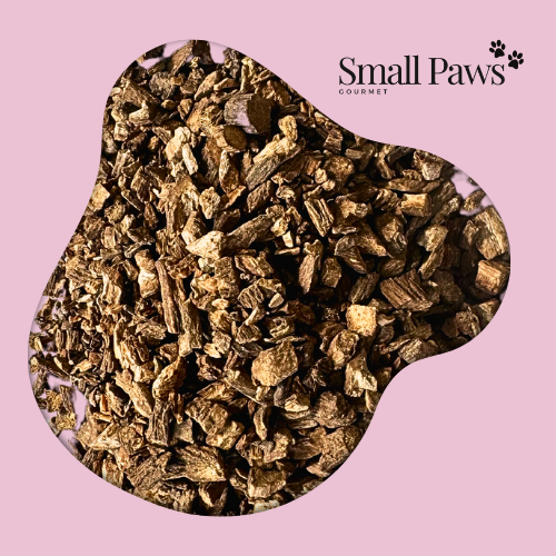 Burdock Root