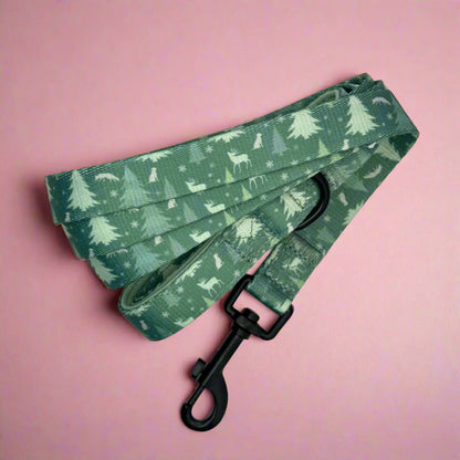 Lead - Evergreen Trails