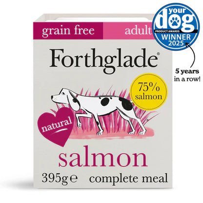 Salmon – 395g