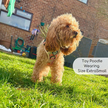 Rugged Rover™ Harness - Autumn Breeze