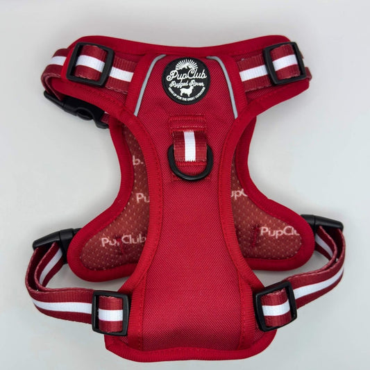 Rugged Rover™ Harness - Berry Red