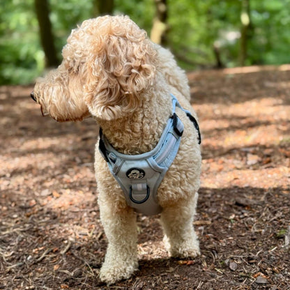 Rugged Rover™ Harness - Pastel Blue