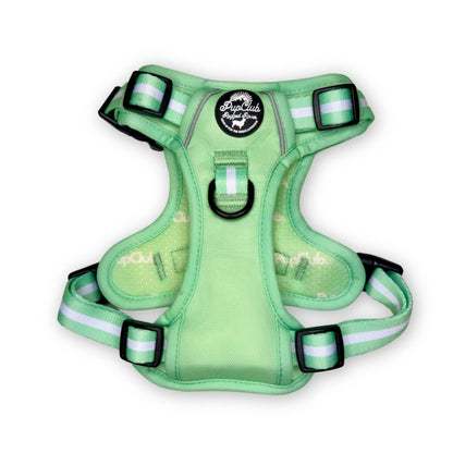 Rugged Rover™ Harness - Pastel Mint Green
